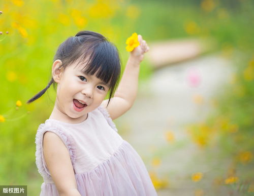 巳时降生：火金相济与品学兼优的家族期望