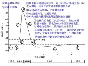 后续变化：善缘增益与精神面貌焕新