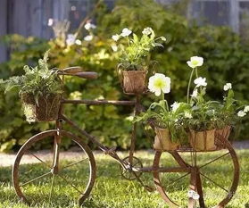 植物：生机勃勃与欣欣向荣