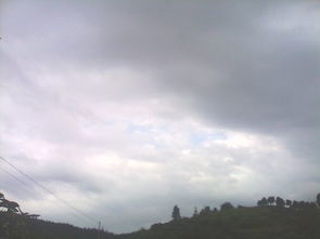 2. 