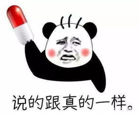 文献综述与理论框架