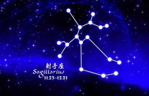 事业与学业运势解析