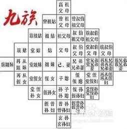 元首课：上克下之尊制卑