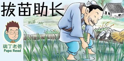 拔苗助长对应哪个生肖？这背后的故事你知道吗？