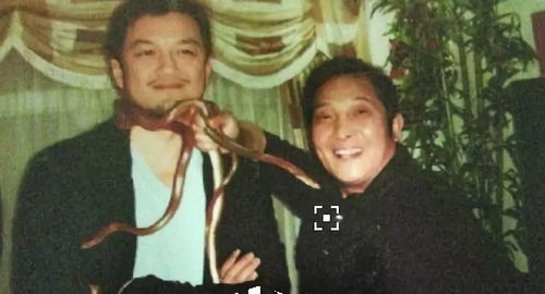 林真风水大师与李燃的结局究竟如何，他们能否携手共度难关？