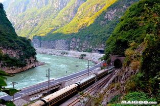 梅山旅游路线规划大全：一场说走就走的奇幻之旅（以及一些令人窒息的真相）