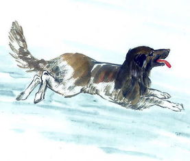 1982年属狗的人如何同过方法提升财运，有可嫩一夜暴富吗？