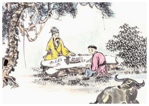 芳华：花开的瞬间与诗意的流淌