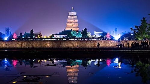 Day5：大雁塔+大唐不夜城，  “夜游”比“白天游”更有感觉