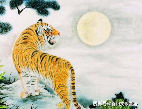 属虎女与哪个属相搭配能招财运？属虎女的事业运意味着什么？