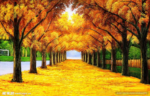 风水学中黄金大道画寓意是什么？