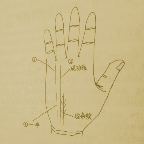单一清晰的事业线：稳健前行