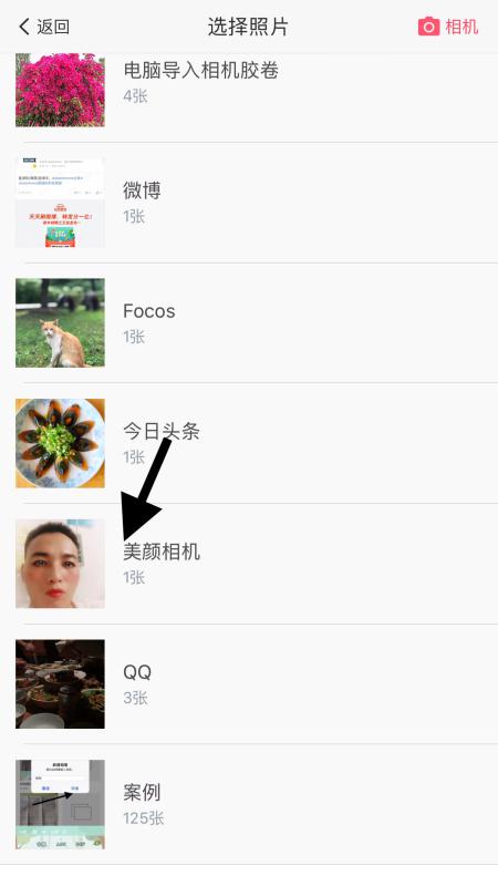 探究背景与目的