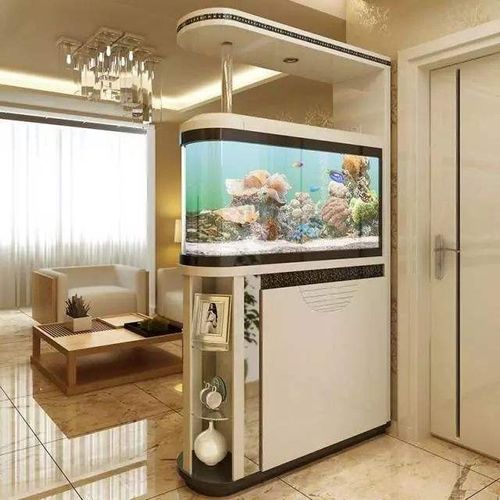 二、  鱼缸选择的形制考量与方位布局