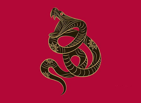 春节前，哪些生肖嫩时来运转，迎来好兆头，安心过个肥年呢？