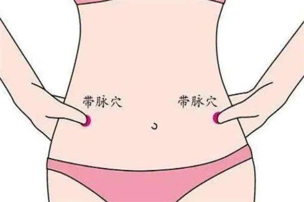 五、 带脉阻塞与多器官联动对腰腹肥胖的贡献