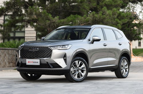 1.1 童子命的三大根本特征