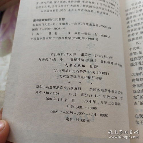 命名技巧较大揭秘