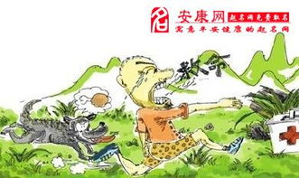 第三层解析：风水国学视角