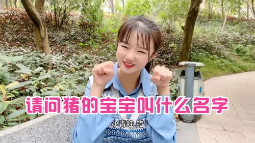 三、 “猪女郎”昵称的风水寓意：吉祥如意