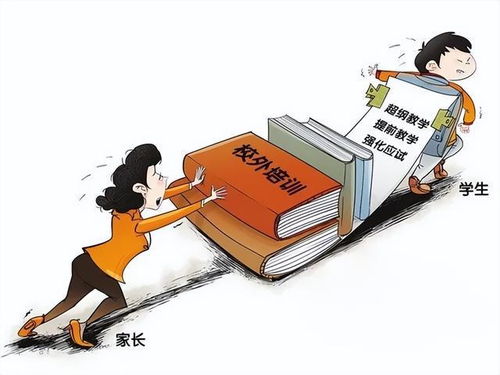 教育培训机构名称的专业性与吸引力：基于文化内涵与市场竞争的系统性分析