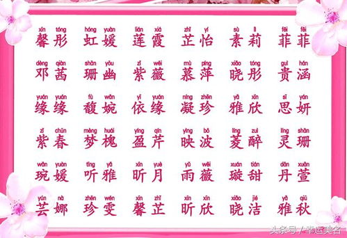 2024年属龙宝宝取名较大全集（避开较高度规整）