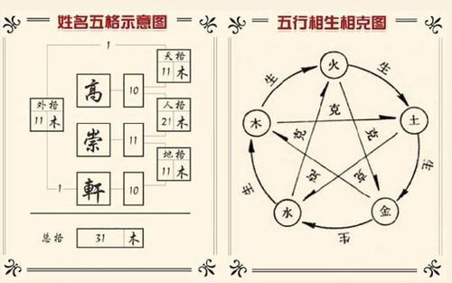 理论基础与方法概述