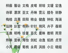 一、 为什么现在的父母这么纠结给男孩起名？