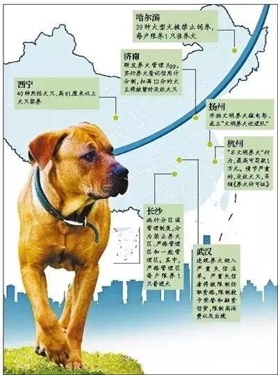 一、 犬类随从行为的生物学阐释