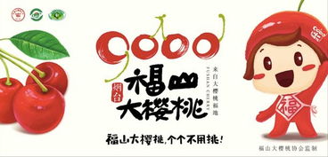 行业特点与品牌定位