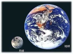 与“巨眼”的遭遇：超乎想象的现实