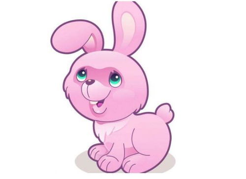 63年属兔的人运势最好的年份是哪一年，今天他们的运势如何？