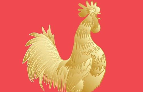 1981年属鸡的人今年正缘会在哪里出现？