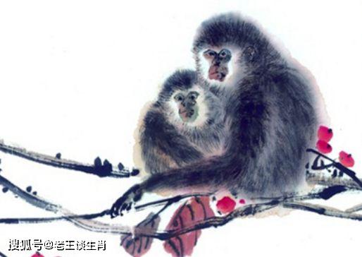 属猴的出生时辰如何影响婚姻，其运气和婚姻状况有何关联？