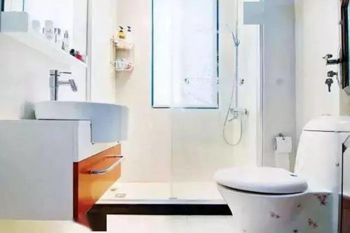 四、  色彩美学、电器辐射与自然元素的平衡之道