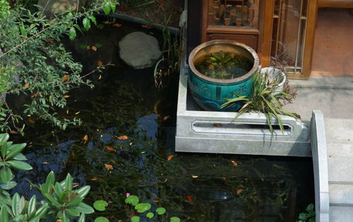 地下消防水池的风水玄学大揭秘！2026年运势全解析