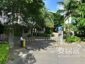 芳茗园公司名吉凶预测，大连甘井子区芳茗园属于哪个社区？