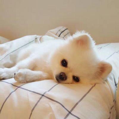 第二步：挖掘“宝”字的潜力！