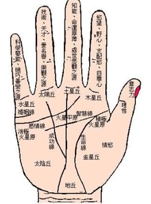 四、  关于事业线长短的辩证思考