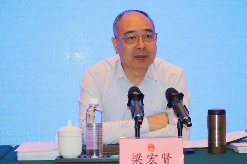：关于2025年春节之际之吉庆时辰之学术性探讨