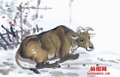 1961年属牛的女命是什么，哪个月份的运势最为吉祥？