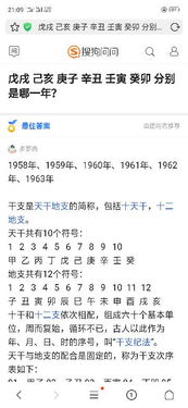 ：辛卯日柱在命理学研究中的定位与争议