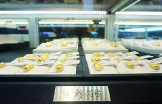 洋气烘焙店的名字：时尚与创意的碰撞