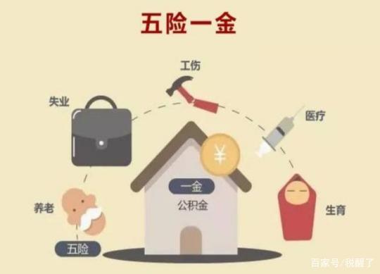 1. 梦见金色大鲤鱼