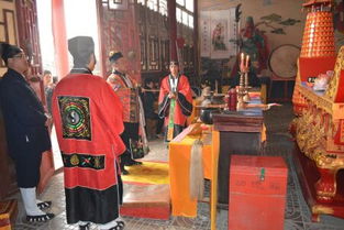 三、惯与参与主体：必要性与可替代性的辩证考量