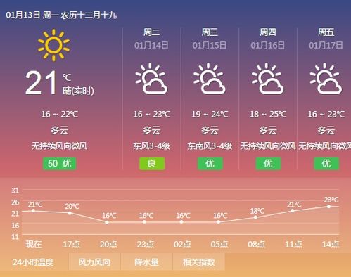 整体运势分析