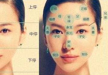 性格分析：温和细腻与坚韧不拔的内在统一