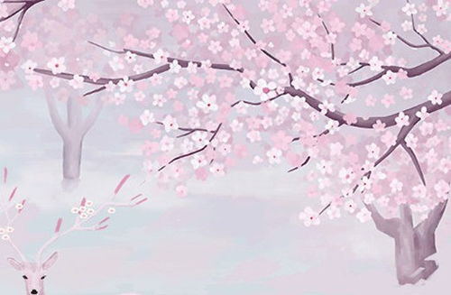 63年属兔人在十一月份的桃花运究竟如何？