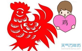 属鸡的人之间是否相克，同属鸡的缘分会犯冲吗？