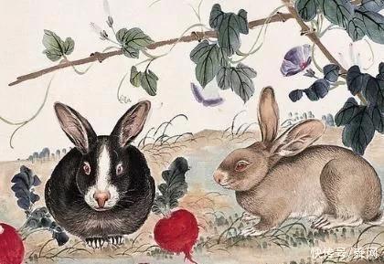 2026年属兔羊人运势及每月运势具体内容是什么？